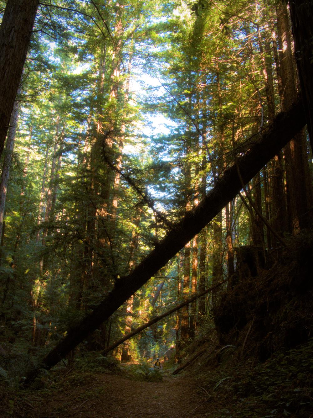 4-grabtown-gulch-2.jpg