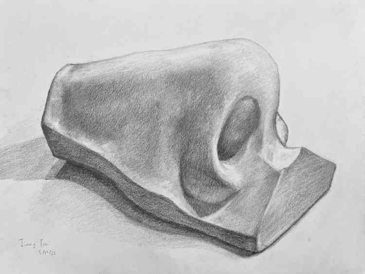 drawing_nose.jpg