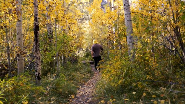 Autumn Palette